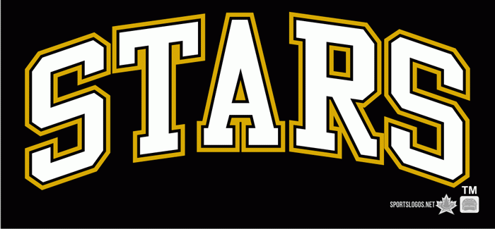 Texas Stars 2009 10-Pres Wordmark Logo1 iron on transfers for clothing
